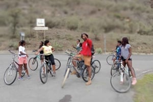 Karura Forest Guided Walking Tour in Nairobi.