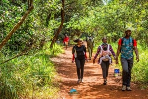 Visite guidée de la forêt de Karura à Nairobi.