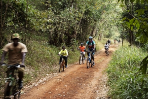 Karura Forest Hiking and Bike Tour