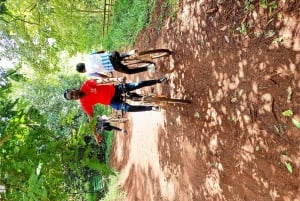 Karura Forest Nairobi