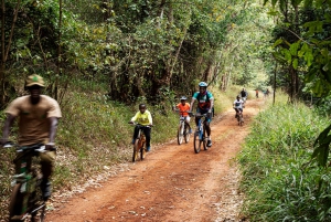 Nairobi Day Trip: Karura Forest Trail Private Hike/Bike Ride
