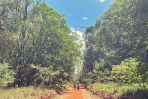 Nairobi Day Trip: Karura Forest Trail Private Hike/Bike Ride