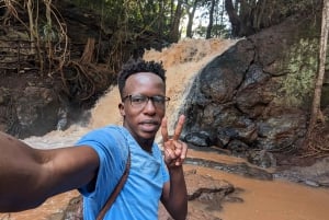 Las Karura: Wycieczka piesza z przyrodą i wodospadami.