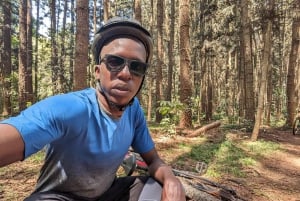 Las Karura: Wycieczka piesza z przyrodą i wodospadami.