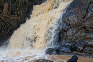 Las Karura: Wycieczka piesza z przyrodą i wodospadami.