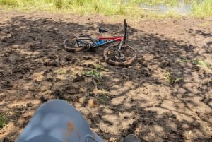 Las Karura: Wycieczka piesza z przyrodą i wodospadami.