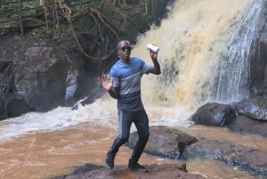 Las Karura: Wycieczka piesza z przyrodą i wodospadami.