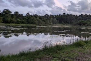 Las Karura: Wycieczka piesza z przyrodą i wodospadami.