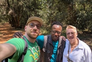 Las Karura: Wycieczka piesza z przyrodą i wodospadami.