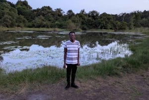 Las Karura: Wycieczka piesza z przyrodą i wodospadami.