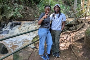 Las Karura: Wycieczka piesza z przyrodą i wodospadami.