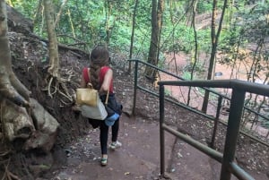 Las Karura: Wycieczka piesza z przyrodą i wodospadami.