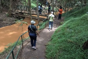 Las Karura: Wycieczka piesza z przyrodą i wodospadami.