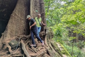 Las Karura: Wycieczka piesza z przyrodą i wodospadami.