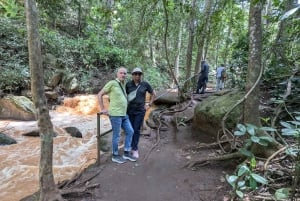 Las Karura: Wycieczka piesza z przyrodą i wodospadami.