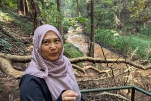 Las Karura: Wycieczka piesza z przyrodą i wodospadami.