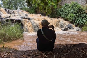 Las Karura: Wycieczka piesza z przyrodą i wodospadami.