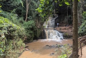 Las Karura: Wycieczka piesza z przyrodą i wodospadami.