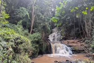 Las Karura: Wycieczka piesza z przyrodą i wodospadami.