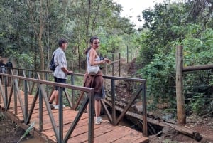 Las Karura: Wycieczka piesza z przyrodą i wodospadami.