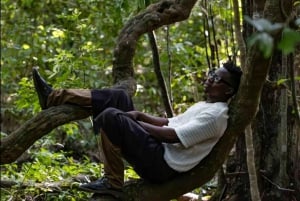 Kaya Kinondo heilig bos rondleiding