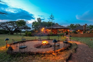 Kenya: 6-dagars campingsafari för grupper