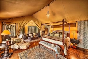 Kenia: Safari de 6 días al Lago Nakuru, Maasai Mara, Amboseli