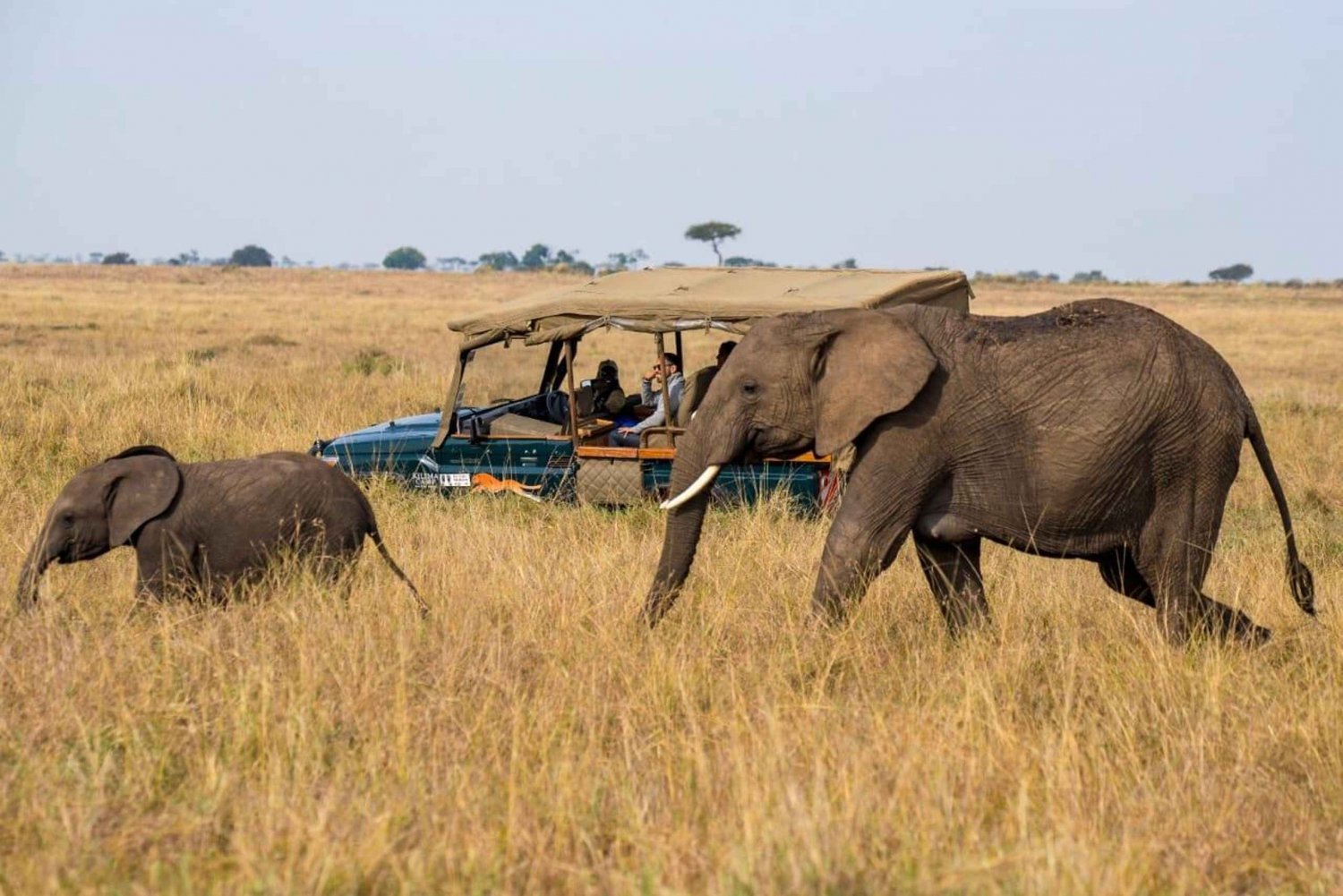 Kenya: 6 Days Spirit of Kenya Tented tour