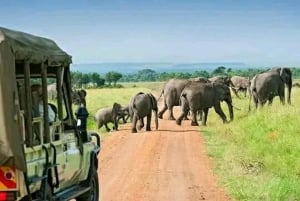 Kenya: Adventure, and Cultural Tours with Transfers