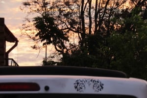 Kenia: Traslados al aeropuerto de Nairobi, Mombasa y más