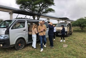 Kenia: Traslados al aeropuerto de Nairobi, Mombasa y más