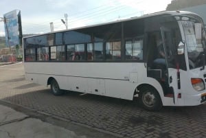 Kenya: Flygplatstransfer Flygtransfer till Nairobi, Mombasa och mer