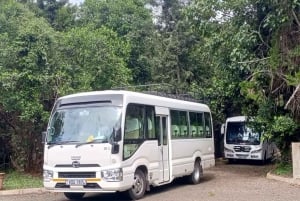 Kenya: Flygplatstransfer Flygtransfer till Nairobi, Mombasa och mer