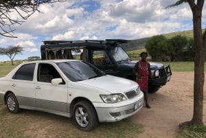 Kenya: Flygplatstransfer Flygtransfer till Nairobi, Mombasa och mer