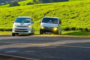 Kenia: Traslados al aeropuerto de Nairobi, Mombasa y más