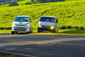 Кения: трансферы из аэропорта в Найроби, Момбасу и другие города