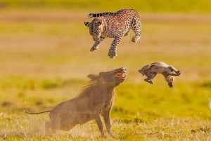 Kenya e Tanzania: Safari della Grande Migrazione di 10 giorni