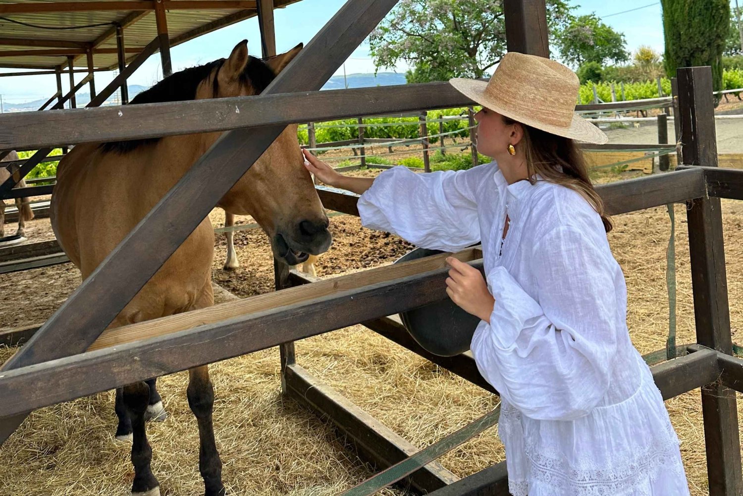Kenya: Hisnande och lyxig 1-dagars privat hästsafari