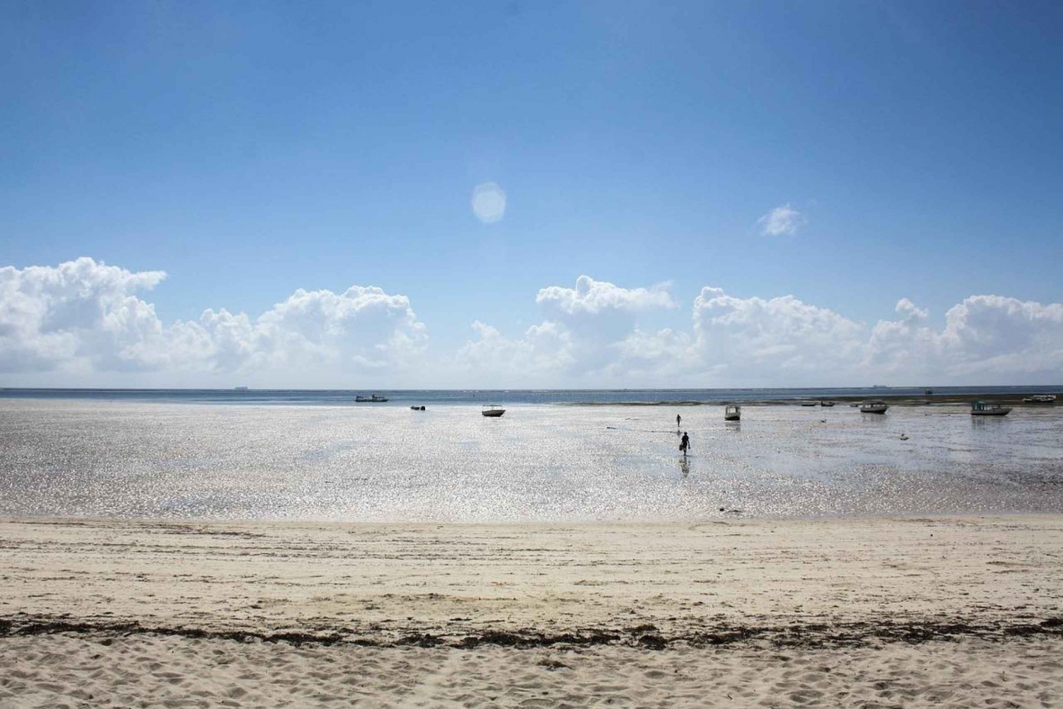 Safári no litoral do Quênia: Mombasa, Shimba Hills e Tsavos