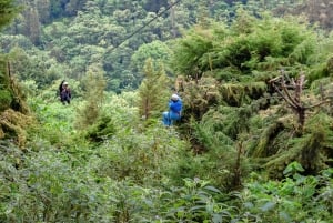 Kenya: Longest ziplining adventure in Africa at The Forest.