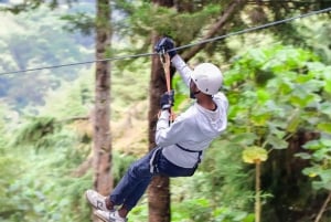 Kenya: Longest ziplining adventure in Africa at The Forest.