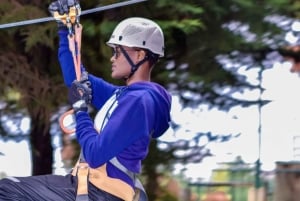 Kenya: Longest ziplining adventure in Africa at The Forest.