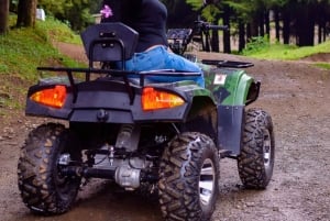 Kenya: Longest ziplining adventure in Africa at The Forest.