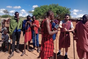 Kenya: Maasai Village Visit with Traditional Dance Show