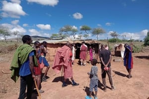 Kenya: Maasai Village Visit with Traditional Dance Show