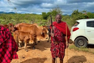Kenya: Maasai Village Visit with Traditional Dance Show