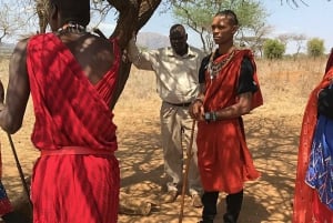 Kenya: Maasai Village Visit with Traditional Dance Show