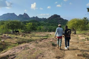 ナイロビからマサイ・マラまで：2日間1泊のプライベートサファリ