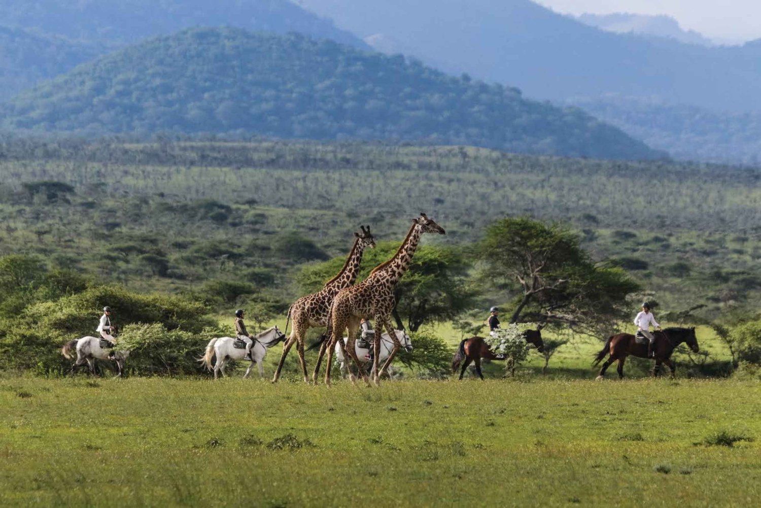 Kenia: Rijd met wilde dieren tijdens een luxe safari te paard