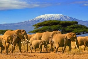 Kenya: Ride with Wildlife on Luxury Horseback Riding Safari
